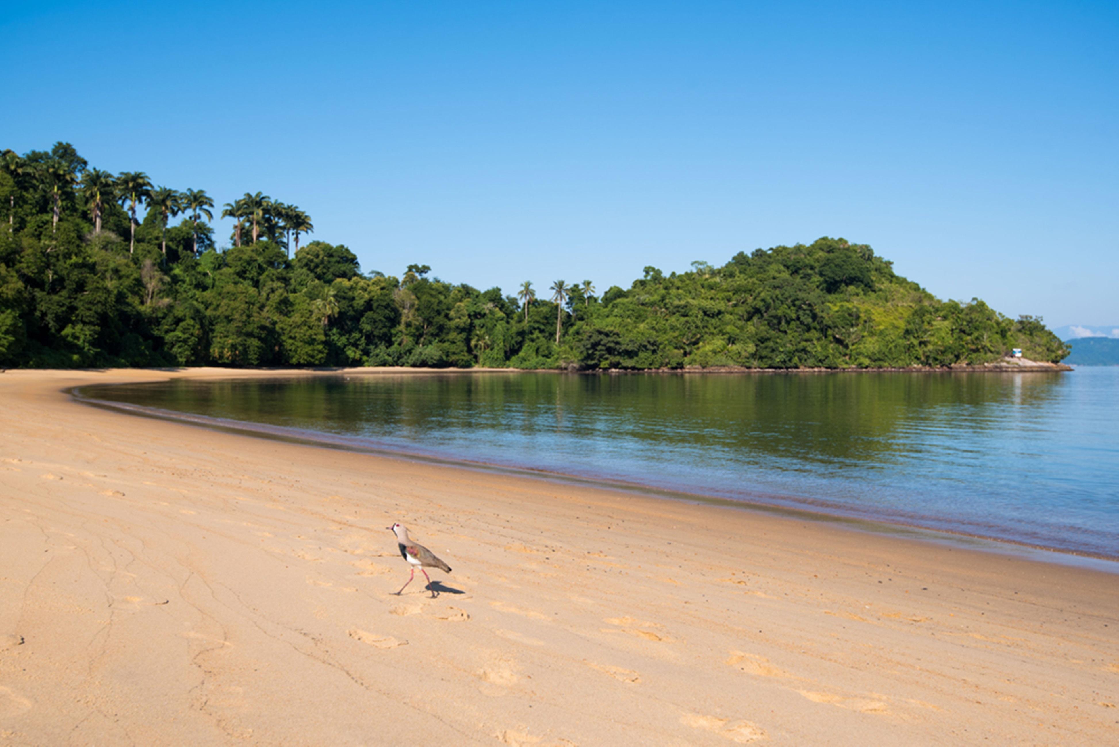 Vila Gale Eco Resort Angra Angra dos Reis Eksteriør billede Beach at the park